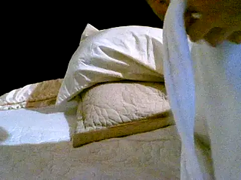 Snapshot of pollarikaaa chatting on 14, 12, 2024 pollarikaaa online show from 14, 12, 2024