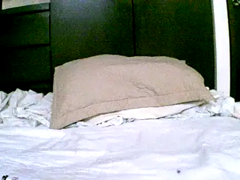 Snapshot of pollarikaaa chatting on 18, 12, 2024 pollarikaaa online show from 18, 12, 2024