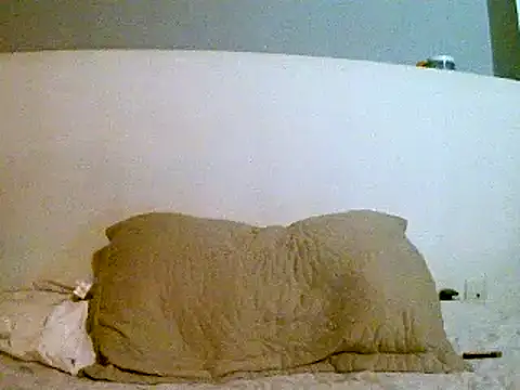 Snapshot of pollarikaaa chatting on 4, 3, 2025 pollarikaaa online show from 4, 3, 2025