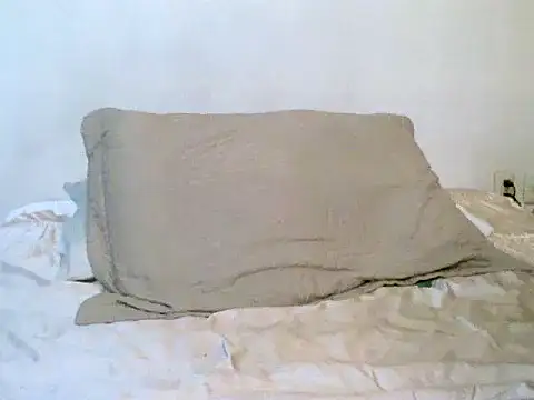 Snapshot of pollarikaaa chatting on 21, 10, 2025 pollarikaaa online show from 21, 10, 2025