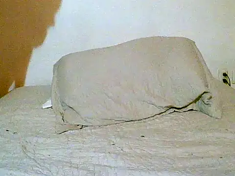 Snapshot of pollarikaaa chatting on 14, 12, 2025 pollarikaaa online show from 14, 12, 2025