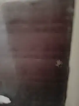 hardgetsex online show from 29, 9, 2025