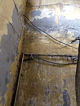 Snapshot of ListedLoin chatting on 13, 2, 2026 ListedLoin online show from 13, 2, 2026