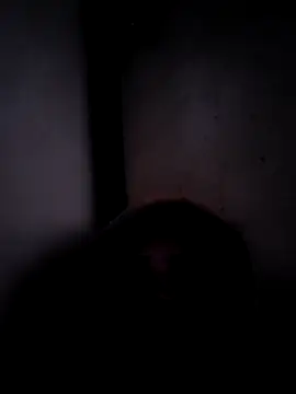 Snapshot of ListedLoin chatting on 17, 3, 2026 ListedLoin online show from 17, 3, 2026