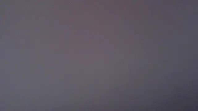 paytonkelly online show from 6, 4, 2026