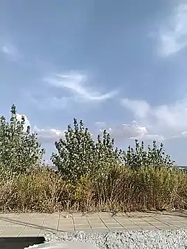 Snapshot of cuplubijoanna chatting on 20, 9, 2025 cuplubijoanna online show from 20, 9, 2025