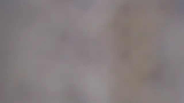 Snapshot of paiper_halliwey chatting on 8, 2, 2025 paiper halliwey online show from 8, 2, 2025