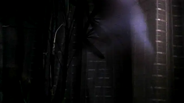 funguybr36 online show from 19, 9, 2025