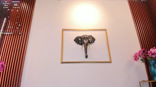 Zayda 1 online show from 11, 2, 2026