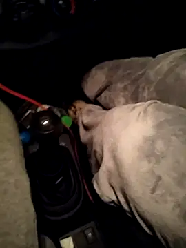 A man in public online show from 10, 4, 2026