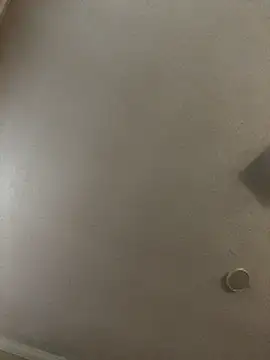 velvetta  online show from 18, 12, 2025