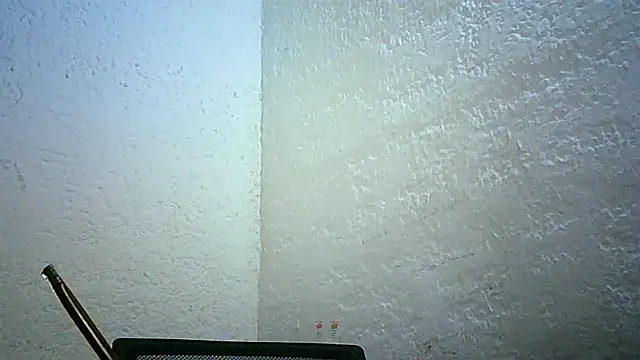 Bellabeltrann online show from 30, 11, 2025