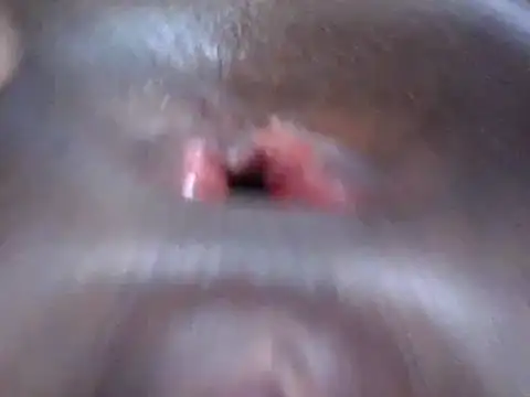 petitev online show from 18, 12, 2024