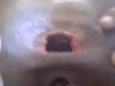 petitev online show from 2, 1, 2025