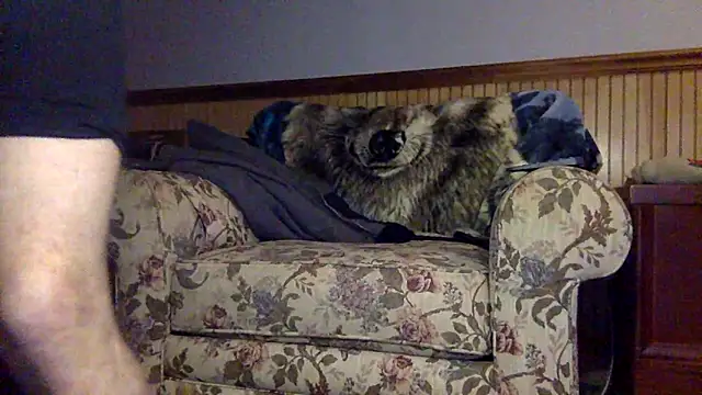 tongueispowerr6d9 online show from 3, 3, 2026