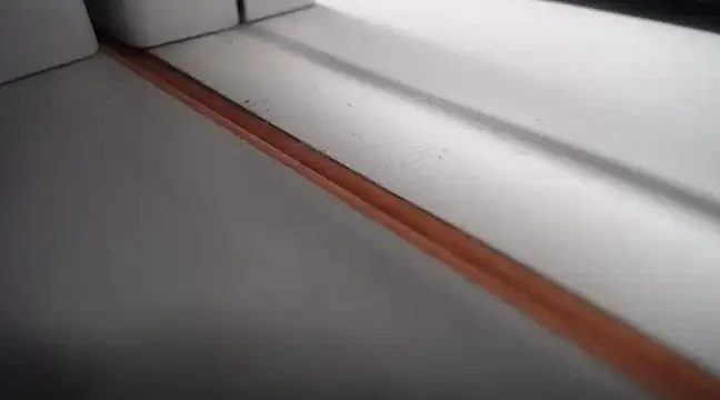 Lovensetest online show from 24, 2, 2025