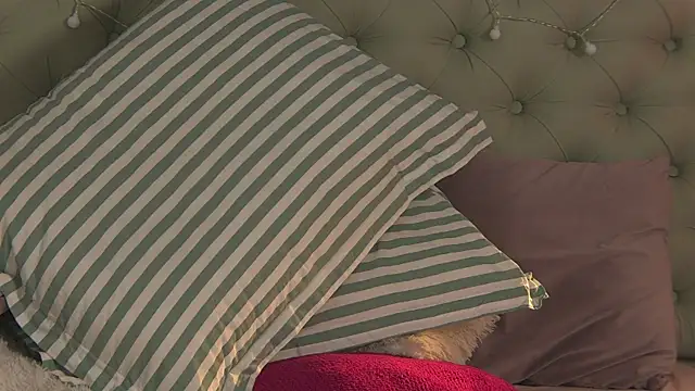 AlicePirs online show from 6, 2, 2025