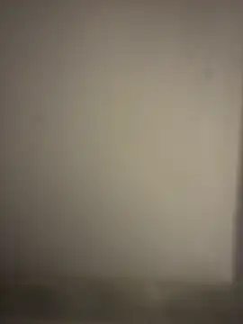 orient zob online show from 7, 1, 2026