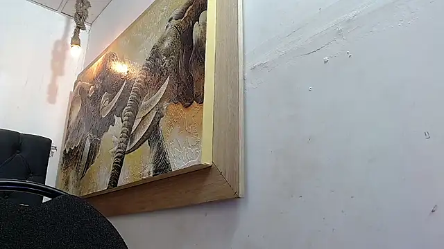 Snapshot of david_rousse_ chatting on 23, 12, 2024 david rousse online show from 23, 12, 2024