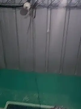 Snapshot of Cris29_84 chatting on 24, 2, 2026 Cris29 84 online show from 24, 2, 2026