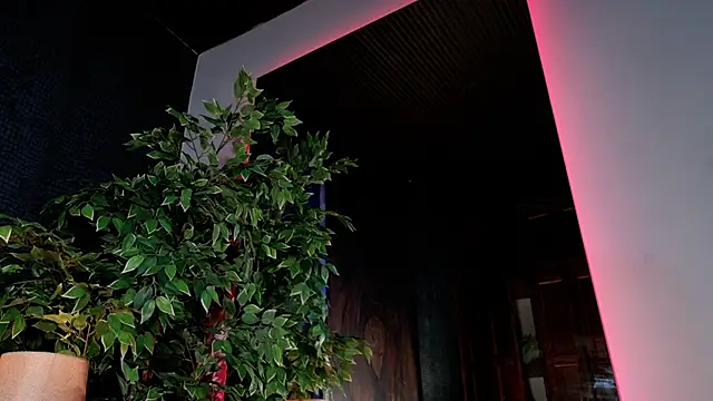 MelodyAdamss online show from 16, 5, 2026