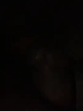 Snapshot of ThickD619 chatting on 11, 12, 2024 ThickD619 online show from 11, 12, 2024