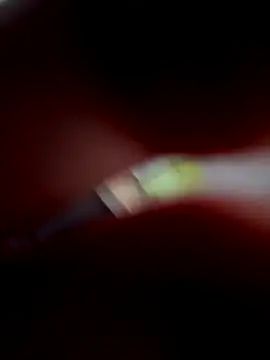 Snapshot of VixyGang chatting on 30, 9, 2025 VixyGang online show from 30, 9, 2025