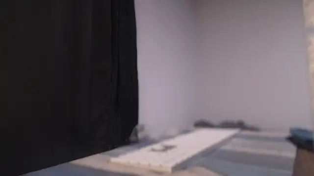 Snapshot of flexingplexico chatting on 2, 12, 2024 flexingplexico online show from 2, 12, 2024