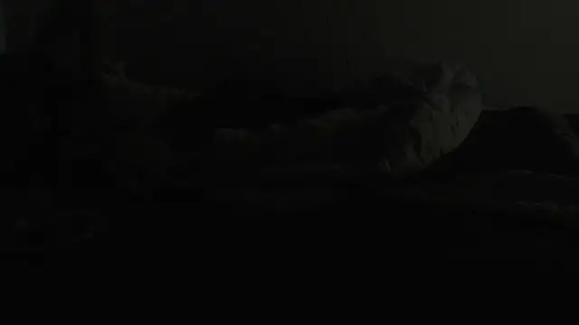 Snapshot of flexingplexico chatting on 6, 1, 2025 flexingplexico online show from 6, 1, 2025