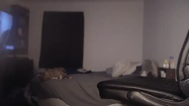 Snapshot of flexingplexico chatting on 1, 3, 2025 flexingplexico online show from 1, 3, 2025