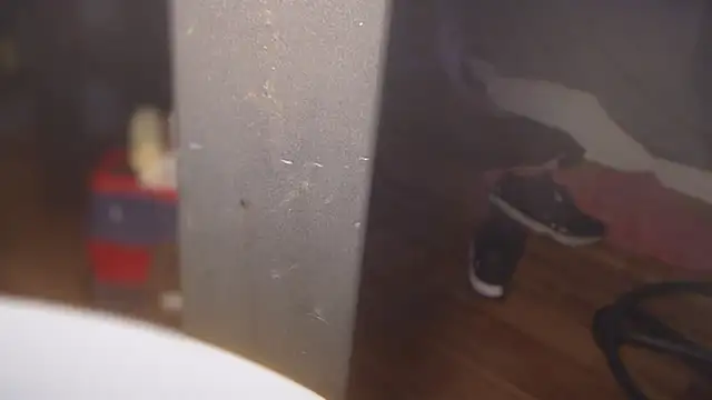 Snapshot of flexingplexico chatting on 1, 3, 2025 flexingplexico online show from 1, 3, 2025