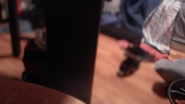 Snapshot of flexingplexico chatting on 3, 3, 2025 flexingplexico online show from 3, 3, 2025