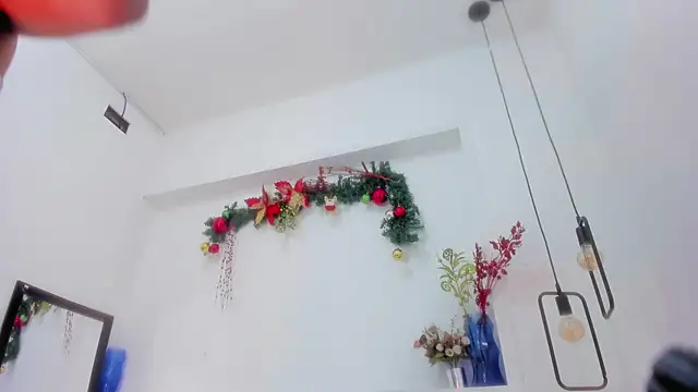 Snapshot of penelope_handaos chatting on 29, 12, 2024 penelope handaos online show from 29, 12, 2024