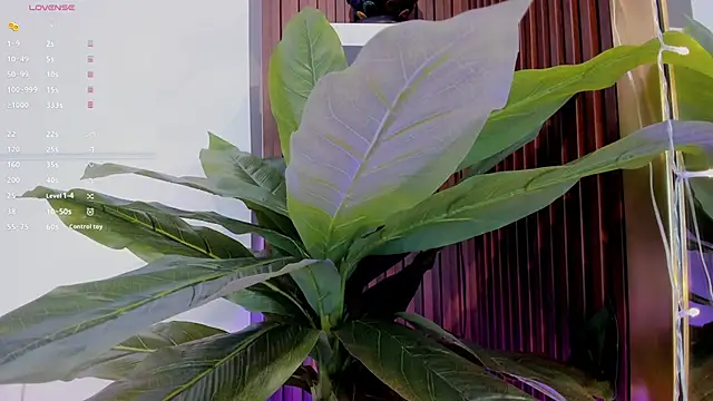 Anybuny online show from 20, 1, 2025