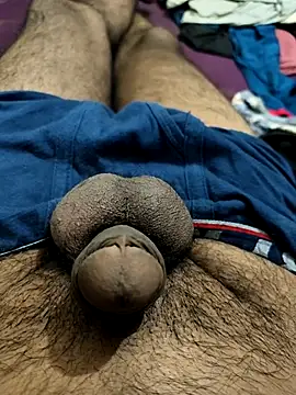 PAWARXX 0 online show from 14, 10, 2025