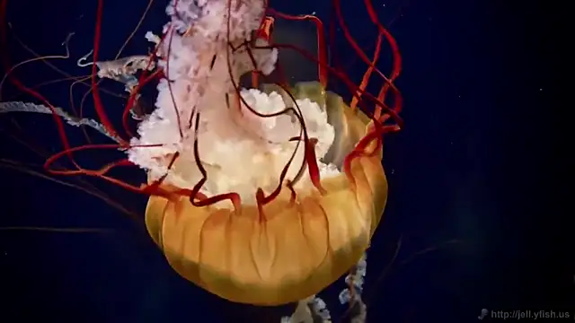 Snapshot of streamy_test12 chatting on 28, 2, 2025 streamy test12 online show from 28, 2, 2025