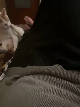 bigboy30X online show from 31, 10, 2025