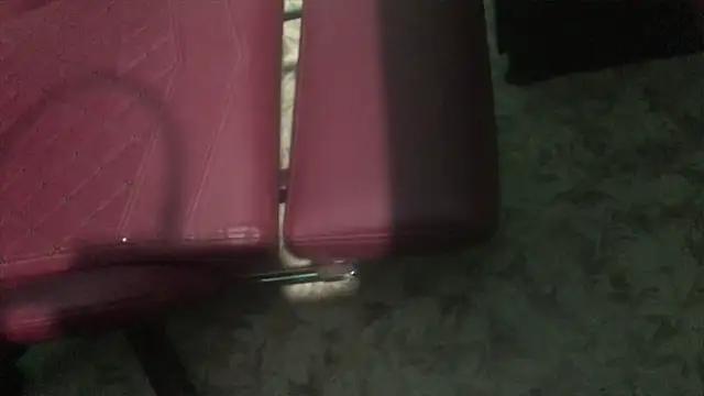 telugu boy  online show from 7, 2, 2025