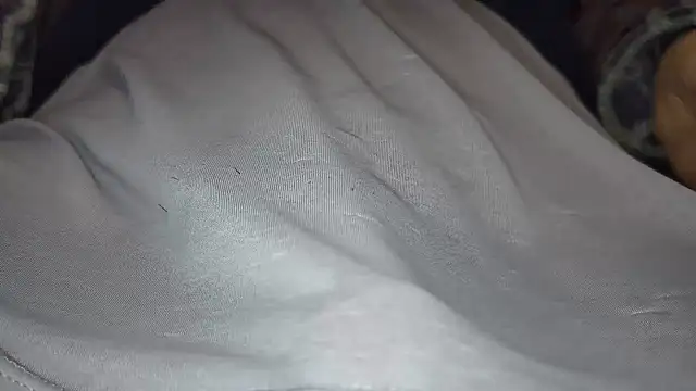 hidenyan02 online show from 5, 12, 2024