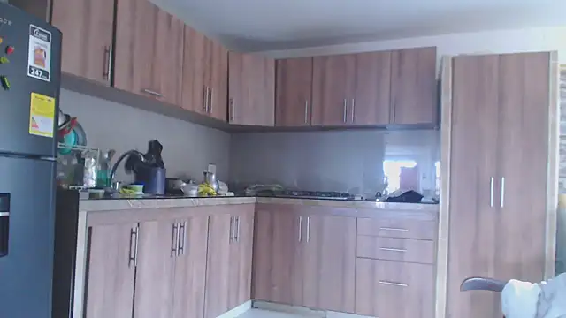 Snapshot of brigitht chatting on 21, 1, 2025 brigitht online show from 21, 1, 2025