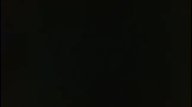 Snapshot of Geisha_Seniers chatting on 14, 1, 2025 Geisha Seniers online show from 14, 1, 2025