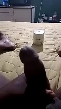 netswera147 online show from 23, 3, 2026