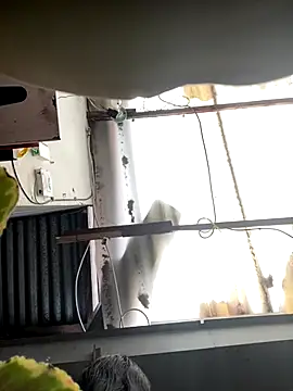 luna asss online show from 25, 10, 2025