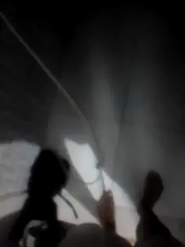 betinhodelas online show from 30, 11, 2025