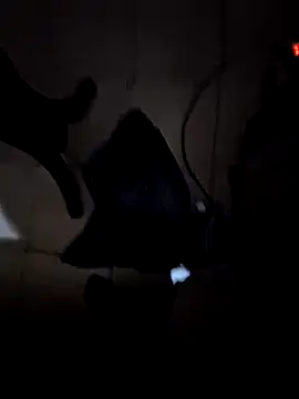 everyoneneeds online show from 26, 12, 2024