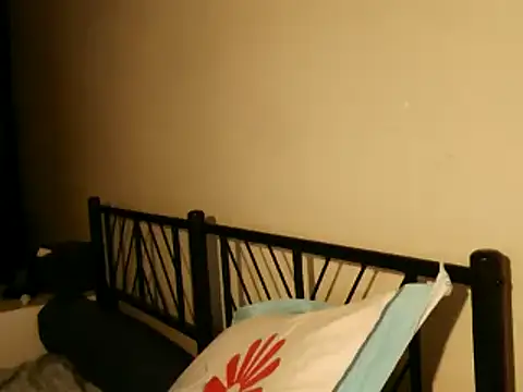 100Tauros online show from 26, 9, 2025