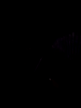 StaciGoodman online show from 1, 2, 2025