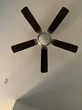 Snapshot of goldbuni chatting on 19, 12, 2024 goldbuni online show from 19, 12, 2024