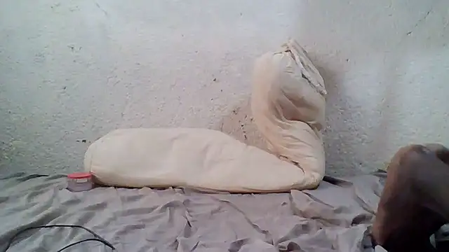 demo2004 online show from 17, 10, 2025