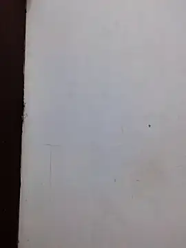 AmnionicDemeanor online show from 2, 11, 2025